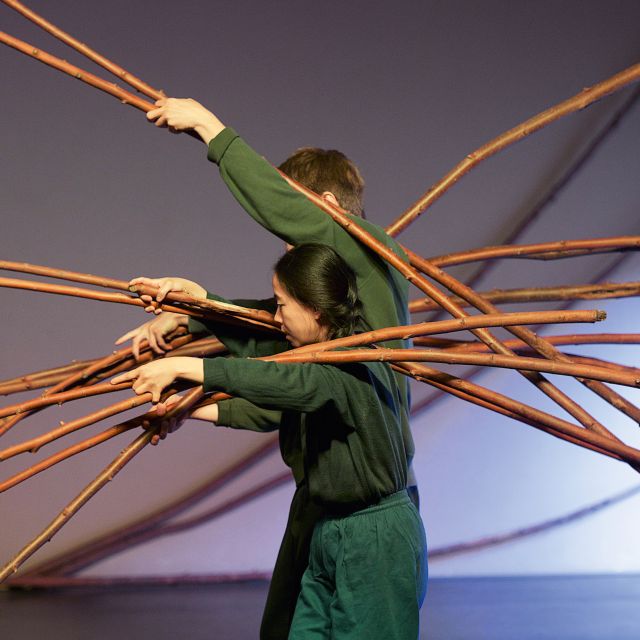 Harvest | Isabelle Schad